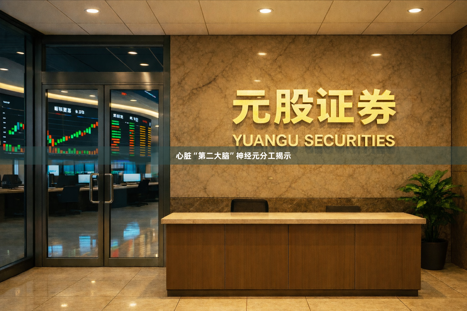心脏“第二大脑”神经元分工揭示