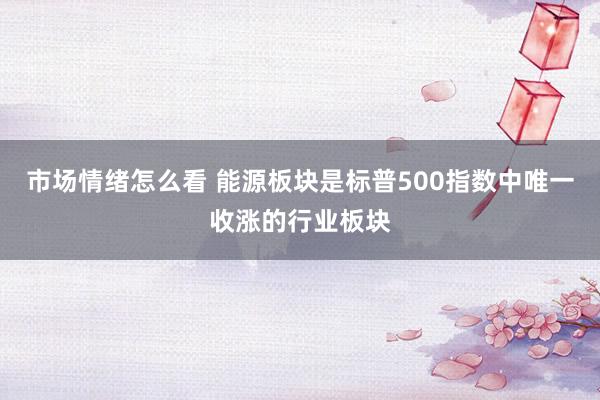 市场情绪怎么看 能源板块是标普500指数中唯一收涨的行业板块