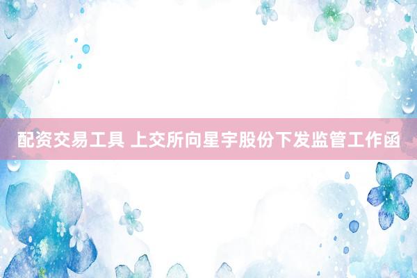 配资交易工具 上交所向星宇股份下发监管工作函