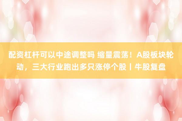 配资杠杆可以中途调整吗 缩量震荡！A股板块轮动，三大行业跑出多只涨停个股丨牛股复盘